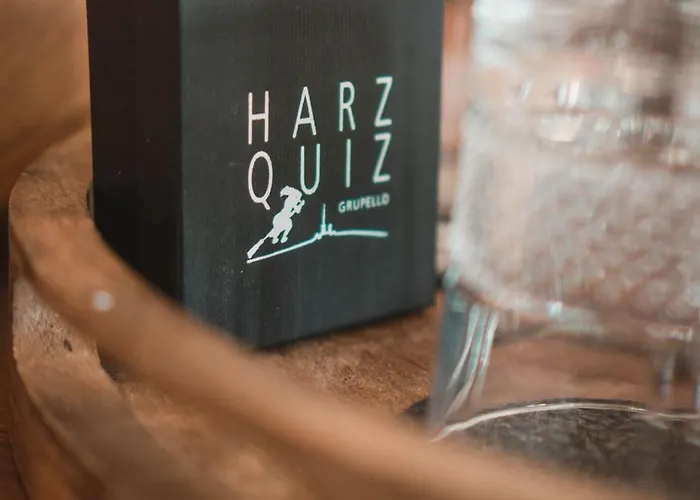 Schlossberg Mit Infrarot-kabine Und Stellplatz * Quedlinburg